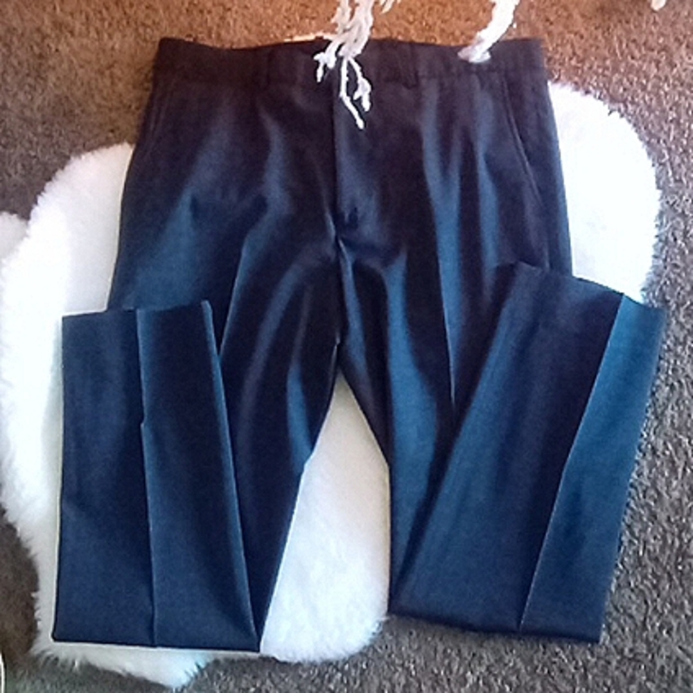 NWOT Theory Tailored Dress Pants Sz 33